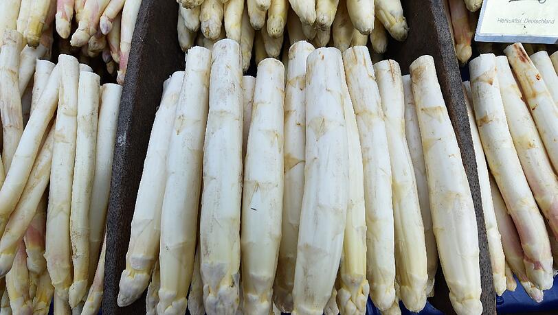 Auf dem Wochenmarkt in Langenhagen wird Spargel zum Verkauf angeboten. Im Rennen um die Gunst der Spargel-Fans haben Discounter in den vergangenen Jahren spürbar Boden gutgemacht. Während der Anteil der Wochenmärkte am Geschäft mit den privaten Spargelkäufern in Deutschland um ein Drittel einbrach, gewannen die Discounter 40 Prozent hinzu. Auf dem Wochenmarkt in Langenhagen wird Spargel zum Verkauf angeboten. Im Rennen um die Gunst der Spargel-Fans haben Discounter in den vergangenen Jahren spürbar Boden gutgemacht. Während der Anteil der Wochenmärkte am Geschäft mit den privaten Spargelkäufern in Deutschland um ein Drittel einbrach, gewannen die Discounter 40 Prozent hinzu.