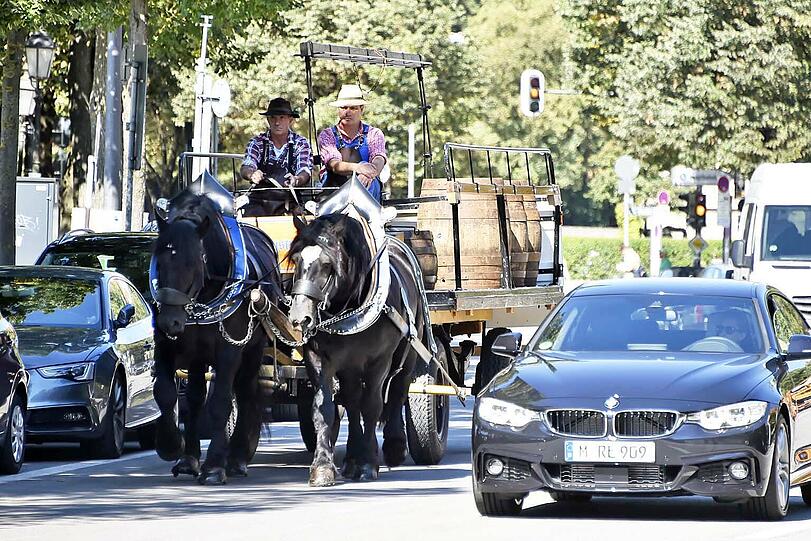 Die Wiesn steht vor der Tür: Deshalb schickt die Augustiner-Brauerei schon mal ihr erstes Gespann zur Probefahrt.