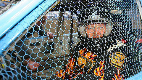 Stefan Raab war am Samstag das letzte Mal als Gastgeber seiner "TV total Stock Car Challenge" zu sehen
