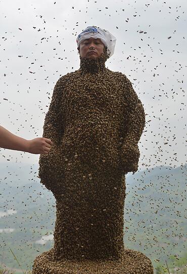 Der Chinese She Ping (34), ein Barkeeper aus Chongging im Südwesten Chinas, lässt sich von einem Schwarm aus 460.000 Bienen umhüllen. Innerhalb von 40 Minuten ist er vollkommen "verschluckt" und der Bienen-Mantel wiegt  45.65kg.
