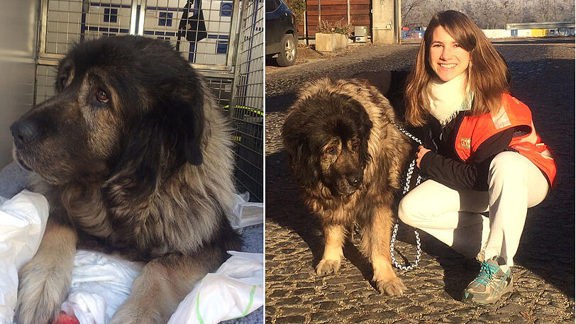 Tierärztin Simone Wenus mit der betagten Hunde-Oma: Es gab ein Happy End für Tier und Besitzer.
