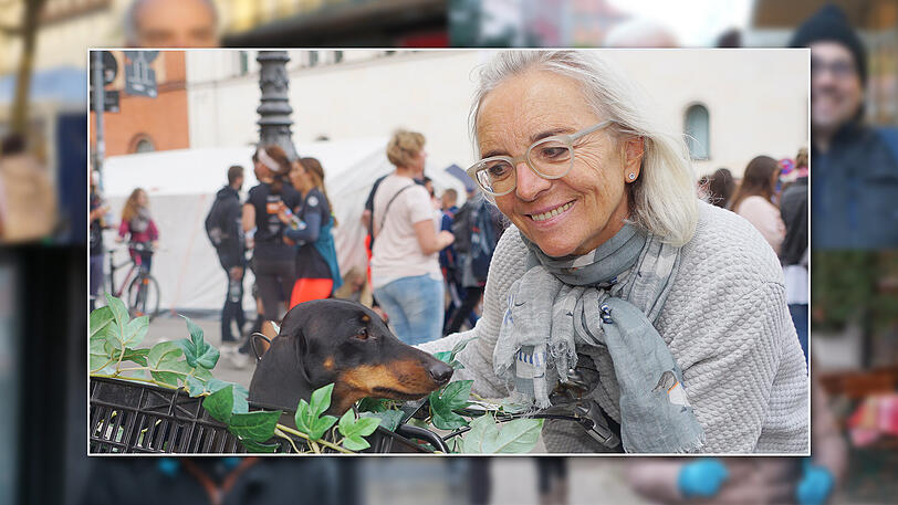 Apothekerin Elfie Aschenbrenner (66) mit ihrem Dackel Resi (3): 
"Ich bin gebürtige Münchnerin in dritter Generation - München ist für mich Weltstadt mit Herz und Zuhause.   
Nächstes Jahr will ich ebenfalls beim Stadtlauf mitlaufen - falls erlaubt, dann zusätzlich mit Dackel Resi. 
Sie liebt es, durch den Englischen Garten zu sausen - ansonsten ist sie extrem freundlich und gemütlich. Doch jetzt gleich werde ich mit meiner Tochter Lisa im urigen schönen Wirthaus Hohenwart in der Gietlstraße Schnitzel 
essen und ein Bier genießen."