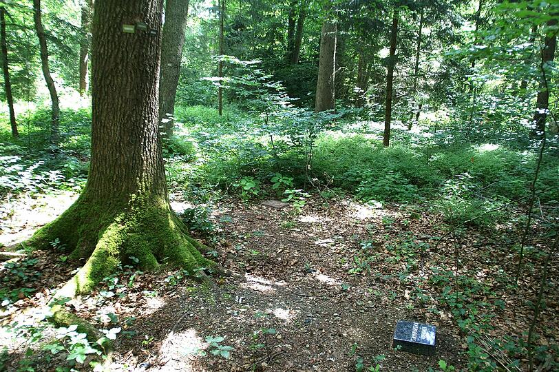 Letzte Ruhestätte: Ein geschützter Bestattungsort abseits der gewohnten Grab- und Urnenfelder im Waldfriedhof.