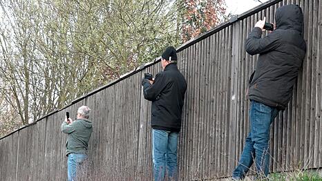 An Unfallstellen mit dem Handy draufhalten und filmen - ein Ärgernis für die Retter. (Symbolbild)