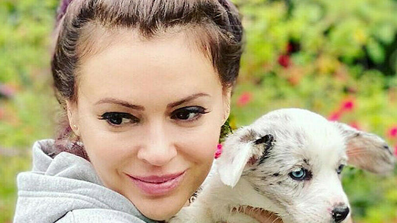 Alyssa Milano strahlt mit ihrem neuen Hund um die Wette