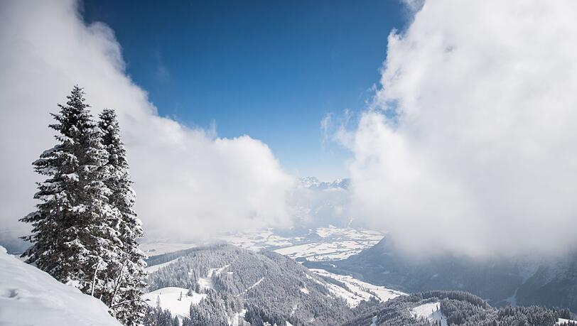 Ehrenamtliche Einsatzkr&auml;fte der Bergwacht Marktschellenberg retteten einen am Ro&szlig;feld-Skigebiet abgest&uuml;rzten Hund - sie fanden ihn im Steilgel&auml;nde. (Archivbld)