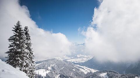 Ehrenamtliche Einsatzkr&auml;fte der Bergwacht Marktschellenberg retteten einen am Ro&szlig;feld-Skigebiet abgest&uuml;rzten Hund - sie fanden ihn im Steilgel&auml;nde. (Archivbld)