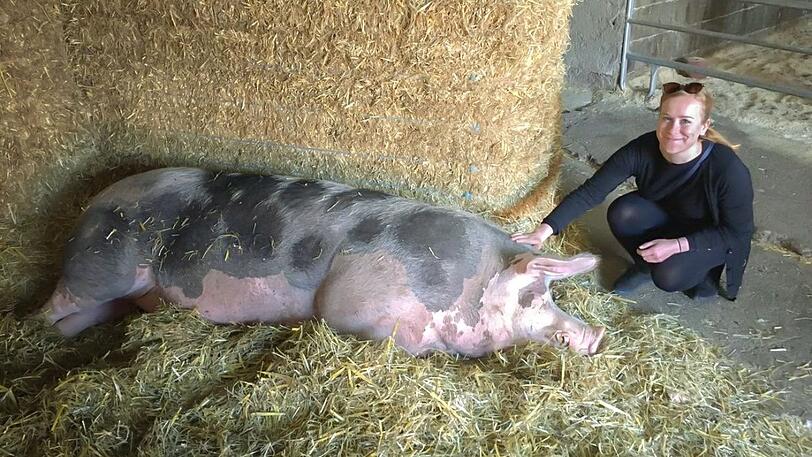 Ein Trumm von Schwein hat Patrizia Anderl auf dem Hof entdeckt.