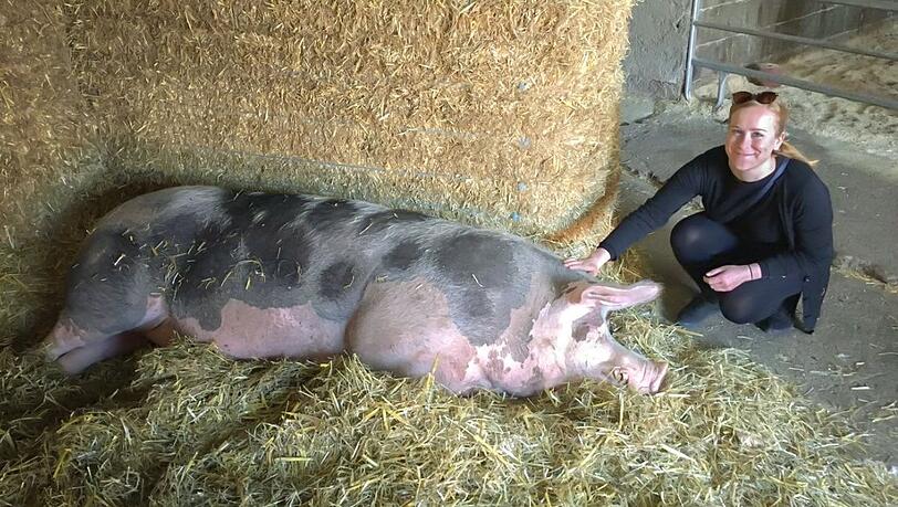 Ein Trumm von Schwein hat Patrizia Anderl auf dem Hof entdeckt. Ein Trumm von Schwein hat Patrizia Anderl auf dem Hof entdeckt.