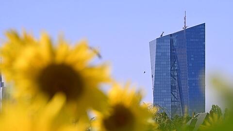 Die W&auml;hrungsh&uuml;ter der Europ&auml;ischen Zentralbank in Frankfurt setzen auf eine Vielfalt der Zahlungsm&ouml;glichkeiten. (Archivbild)