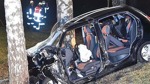 Ein Reh flog nach dem Zusammenstoß mit einem Wagen durch die Windschutzscheibe eines anderen Autos. Die Fahrerin wurde schwer verletzt und starb noch am selben Abend im Krankenhaus.
