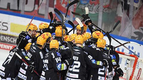 Krämmer geht zu den Fischtown Pinguins.