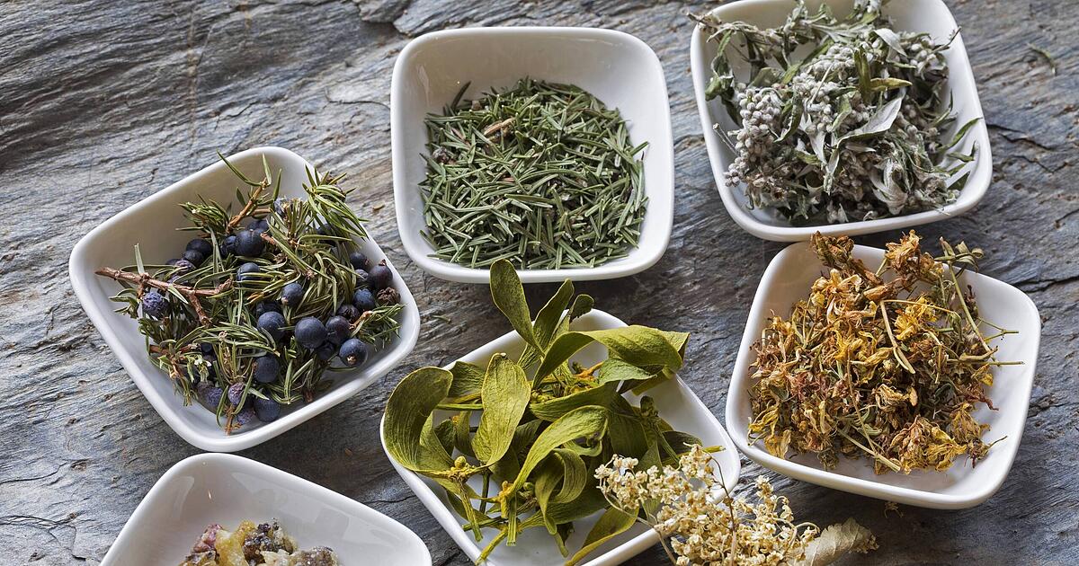 kr-uter-f-r-die-rauhn-chte-die-wichtigsten-pflanzen-und-wie-man-richtig-r-uchert