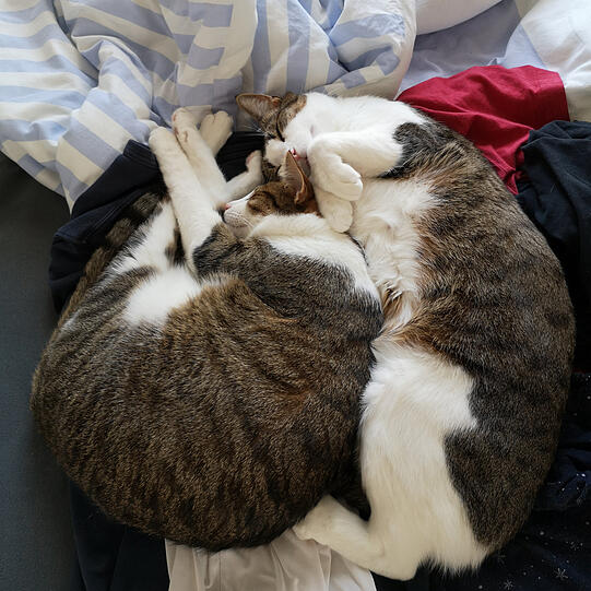 Krümel und Murmel