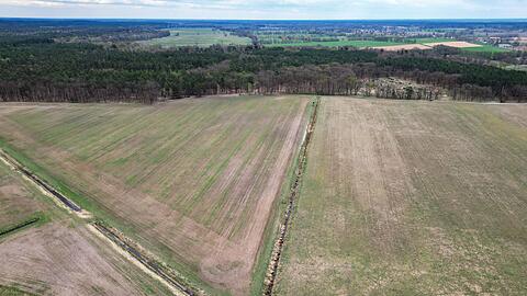 Mitte April und vertrocknetes Gras - Blick auf eine Wiese im Landkreis Oberhavel in Brandenburg (Aufnahme mit einer Drohne). (Archivbild)