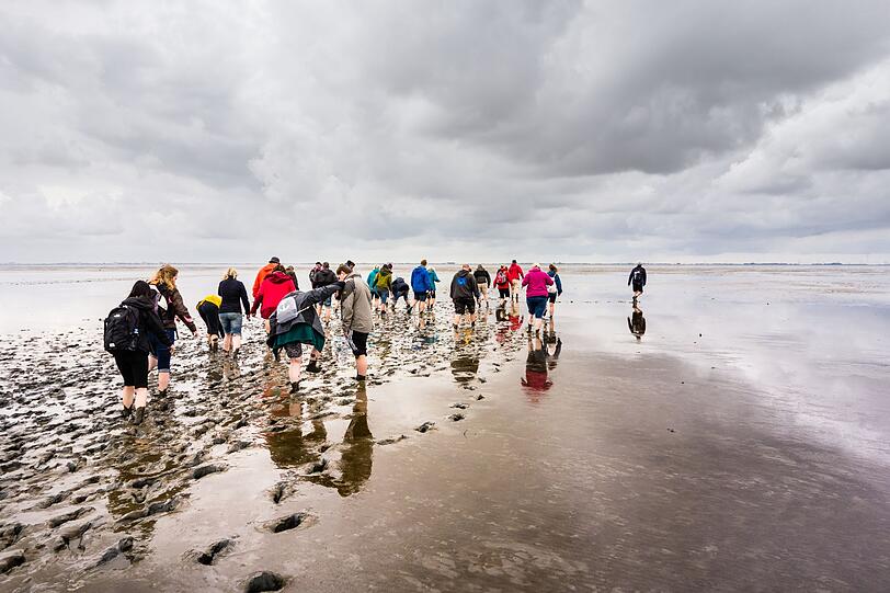 Einen ruhigen Urlaub am Meer kann man auch an der Nordfriesischen Küste verbringen - zumindest, wenn man bestimmte Touristenhochburgen wie etwa St. Peter-Ording oder Westerland auf Sylt meidet. Wattwanderungen, Bootsfahrten, Ausflüge auf die Halligen oder einfach entspannte Stunden im und am Meer versprechen einen abwechslungsreichen und zugleich entspannten Urlaub. Einen ruhigen Urlaub am Meer kann man auch an der Nordfriesischen Küste verbringen - zumindest, wenn man bestimmte Touristenhochburgen wie etwa St. Peter-Ording oder Westerland auf Sylt meidet. Wattwanderungen, Bootsfahrten, Ausflüge auf die Halligen oder einfach entspannte Stunden im und am Meer versprechen einen abwechslungsreichen und zugleich entspannten Urlaub.