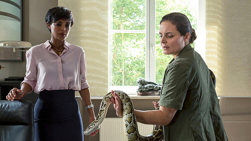 "Tierärztin Dr. Mertens: Momente der Wahrheit": Tierärztin Susanne Mertens (Elisabeth Lanz, r.) geht auch mit Python Donald professionell und gelassen um