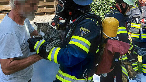 Ein Feuerwehrmann übergibt die gerettete Katze.
