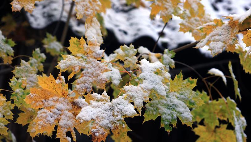 Der Winter löst den Herbst ab. (Archivbild) Der Winter löst den Herbst ab. (Archivbild)