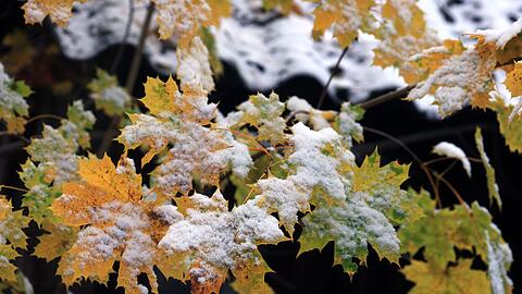 Der Winter löst den Herbst ab. (Archivbild)