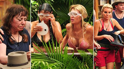 Die Bilder der ersten Dschungelcamp-Folge...