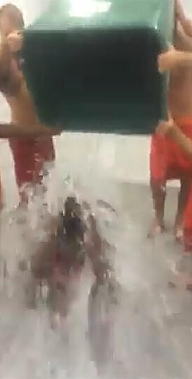David Alaba bekommt keinen Eimer sondern ein Tonne Wasser über den Kopf! Die Bilder...
