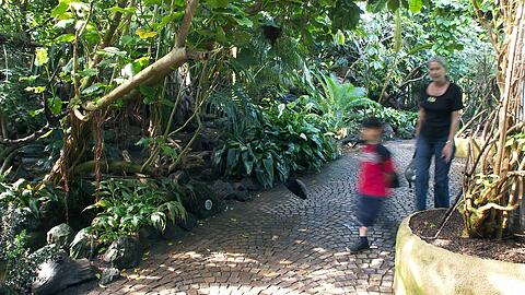 Besucher im Dschungelzelt des Tierparks. (Archivbild)