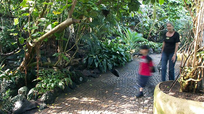 Besucher im Dschungelzelt des Tierparks. (Archivbild)