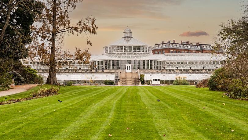 Eine Aufnahme aus dem botanischen Garten in Kopenhagen.