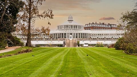 Eine Aufnahme aus dem botanischen Garten in Kopenhagen.