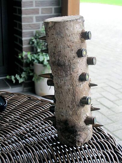 Das ist der mit der scharfen Maschinengewehr-Munition gespickte Baumstamm
