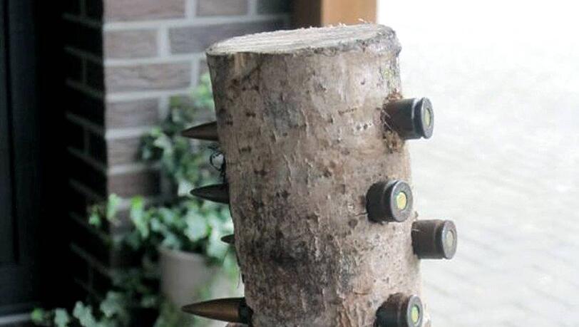 Das ist der mit der scharfen Maschinengewehr-Munition gespickte Baumstamm Das ist der mit der scharfen Maschinengewehr-Munition gespickte Baumstamm