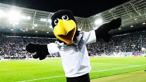 Ob DFB-Maskottchen "Paule" bei der EM im eigenen Land mehr Grund zum Jubeln haben wird?