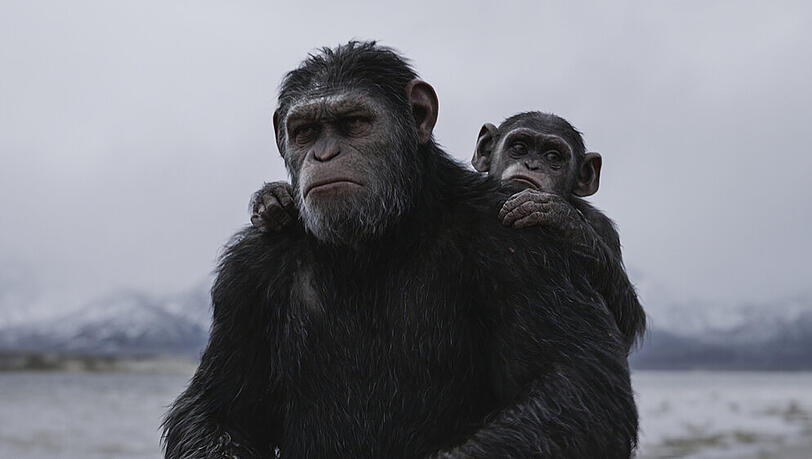 Erneut soll im Kino der "Planet der Affen" ausgerufen werden Erneut soll im Kino der "Planet der Affen" ausgerufen werden