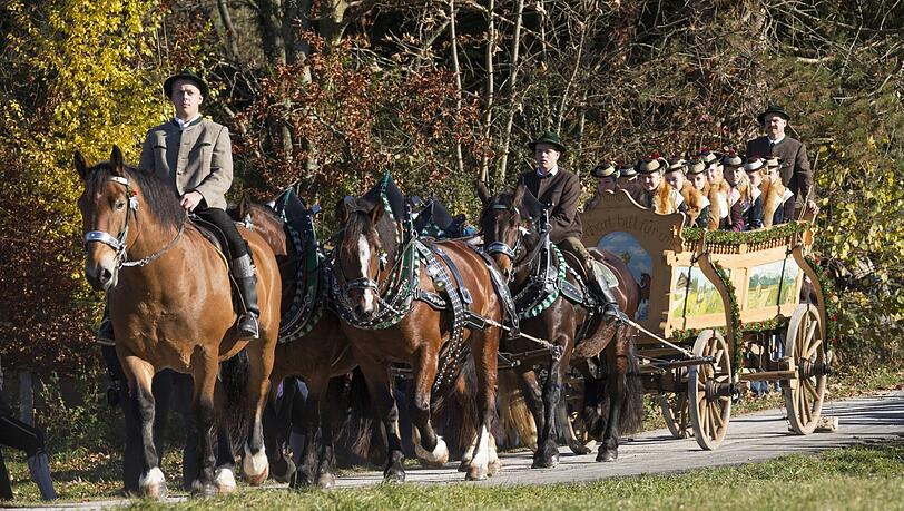 Alte bayerische Tradition: der Leonhardiritt, hier in Bad Tölz. Dort findet die Veranstaltung heuer noch statt. Am Montag, 7. November, soll es dort wieder so weit sein. Tierschützer sind gegen Kutschfahrten - Pferde seien Fluchttiere, schreiben sie