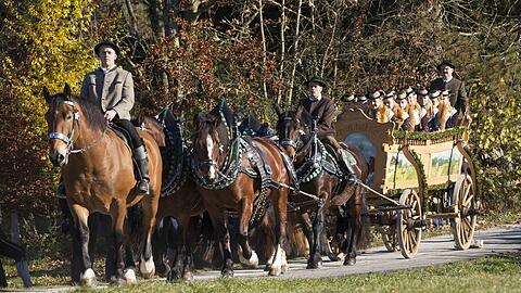 Alte bayerische Tradition: der Leonhardiritt, hier in Bad Tölz. Dort findet die Veranstaltung heuer noch statt. Am Montag, 7. November, soll es dort wieder so weit sein. Tierschützer sind gegen Kutschfahrten - Pferde seien Fluchttiere, schreiben sie
