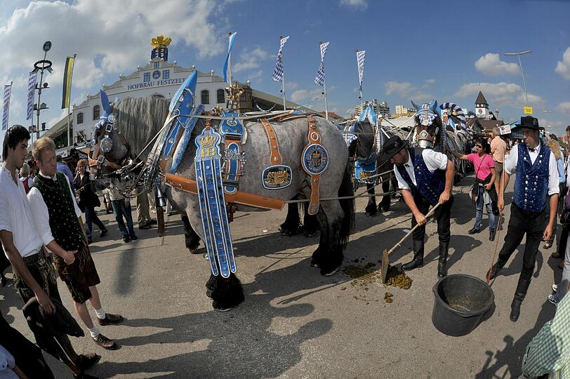 3,5 Millionen Gäste aus aller Welt: Zur Wiesn-Halbzeit wurden 3,4 Millionen Maß Bier getrunken. Bei den Münchnern war besonders der nostalgische Festbereich der &bdquo;Oidn Wiesn&ldquo; beliebt &ndash; etwa 200 000 Besucher waren dort schon zu Gast. Die Zwischenbilanz von Polizei und Rettungskräften fällt positiv aus.