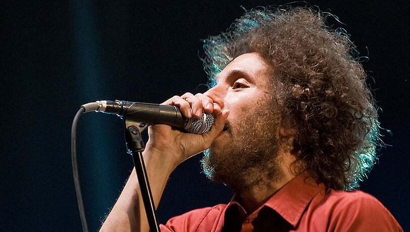 Rage Against The Machine werden in diesem Jahr doch nicht in Europa auftreten.