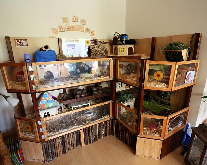 Selbst gebaut: Der zweistöckige Meerschweinchenstall im Wohnzimmer von Andrea Kraus ist ein hübscher Blickfang &ndash; und artgerecht.