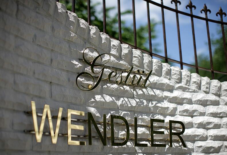 Michael Wendler will sein Pferdegestüt in Dinslaken für 4,7 Millionen Euro verkaufen.