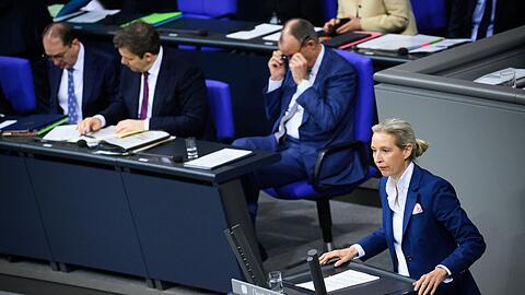 Weidel will Au&szlig;enpolitik an nationalen Interessen ausrichten.