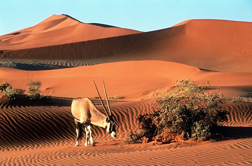Um eine Reise durch Namibia dreht sich ein Vortrag im ASZ.