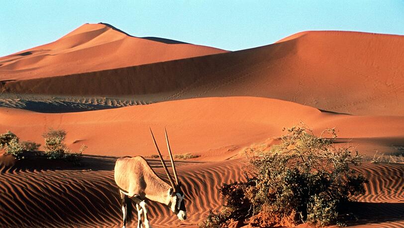 Um eine Reise durch Namibia dreht sich ein Vortrag im ASZ. Um eine Reise durch Namibia dreht sich ein Vortrag im ASZ.
