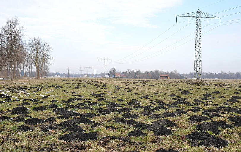 11 Einwohner pro Hektar waren letztes Jahr in Aubing-Lochhausen-Langwied gemeldet &ndash; das ist die geringste Bevölkerungsdichte in der Stadt. (Im Bild: Lochhausen)