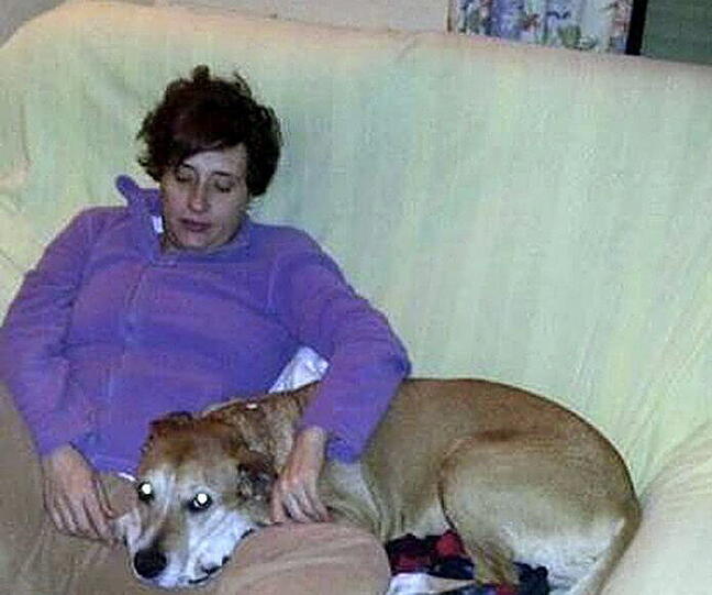 Das Schicksal von "Excalibur" ist besiegelt, der Hund der mit Ebola infizierten Krankenschwester wird eingeschläfert.