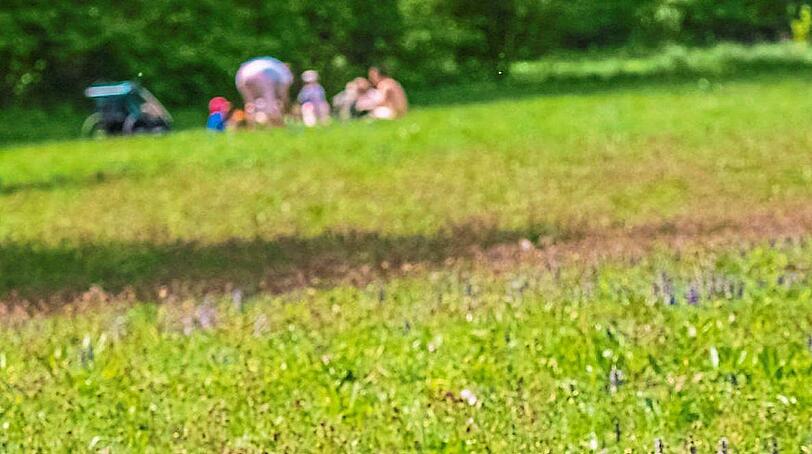Die Wiese des Nymphenburger Schlossparks darf nicht betreten werden, gepicknickt wird trotzdem.