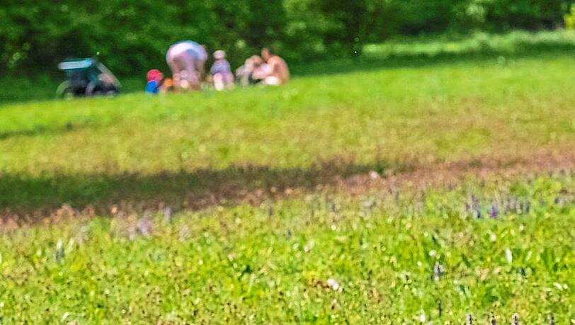 Die Wiese des Nymphenburger Schlossparks darf nicht betreten werden, gepicknickt wird trotzdem. Die Wiese des Nymphenburger Schlossparks darf nicht betreten werden, gepicknickt wird trotzdem.