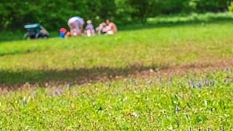 Die Wiese des Nymphenburger Schlossparks darf nicht betreten werden, gepicknickt wird trotzdem.