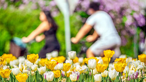 Raus mit dem Rad: Am Wochenende soll der Frühling nach München zurückkehren.