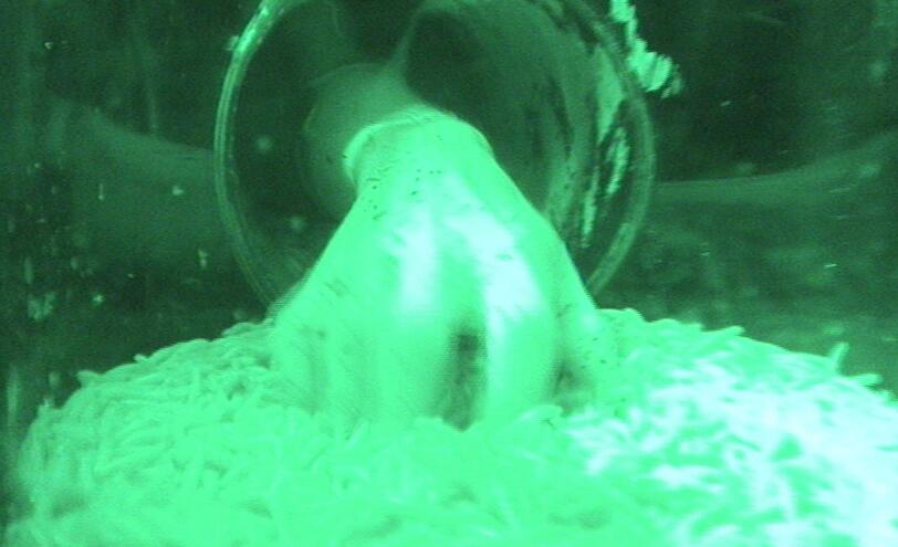 Melanie Müller muss ihre Sterne aus fünf kleinen Höhlen holen. Doch in den Höhlen sind nicht nur die Sterne. In der vierten Höhle warten Schleim, Mehlwürmer, Käsefrucht und Fischsoße auf sie. Innerhalb von wenigen Sekunden hat sie den Stern gefunden.